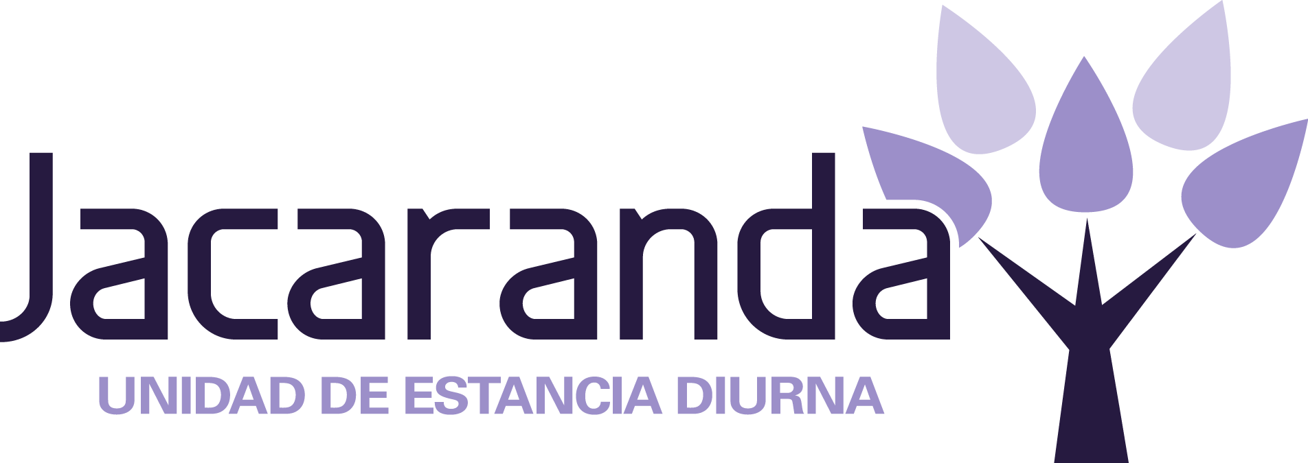 Jacaranda